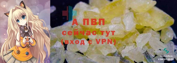 прущие крисы Аркадак
