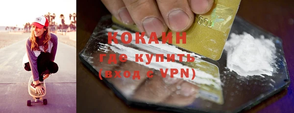 сатива Арсеньев
