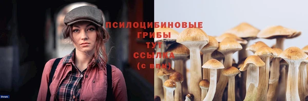 первитин Армянск