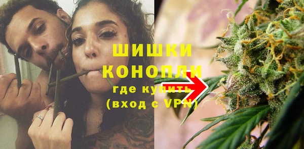 сатива Арсеньев
