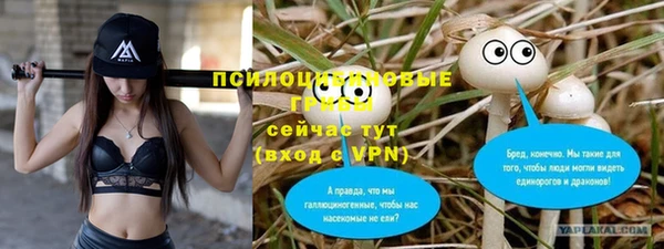 прущие крисы Аркадак