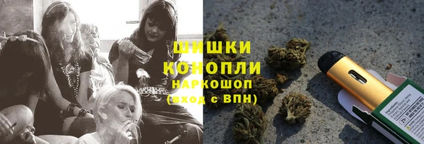 сатива Арсеньев