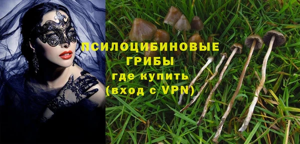 сатива Арсеньев