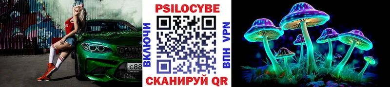 ссылка на мегу сайт Аша Галлюциногенные грибы Psilocybe